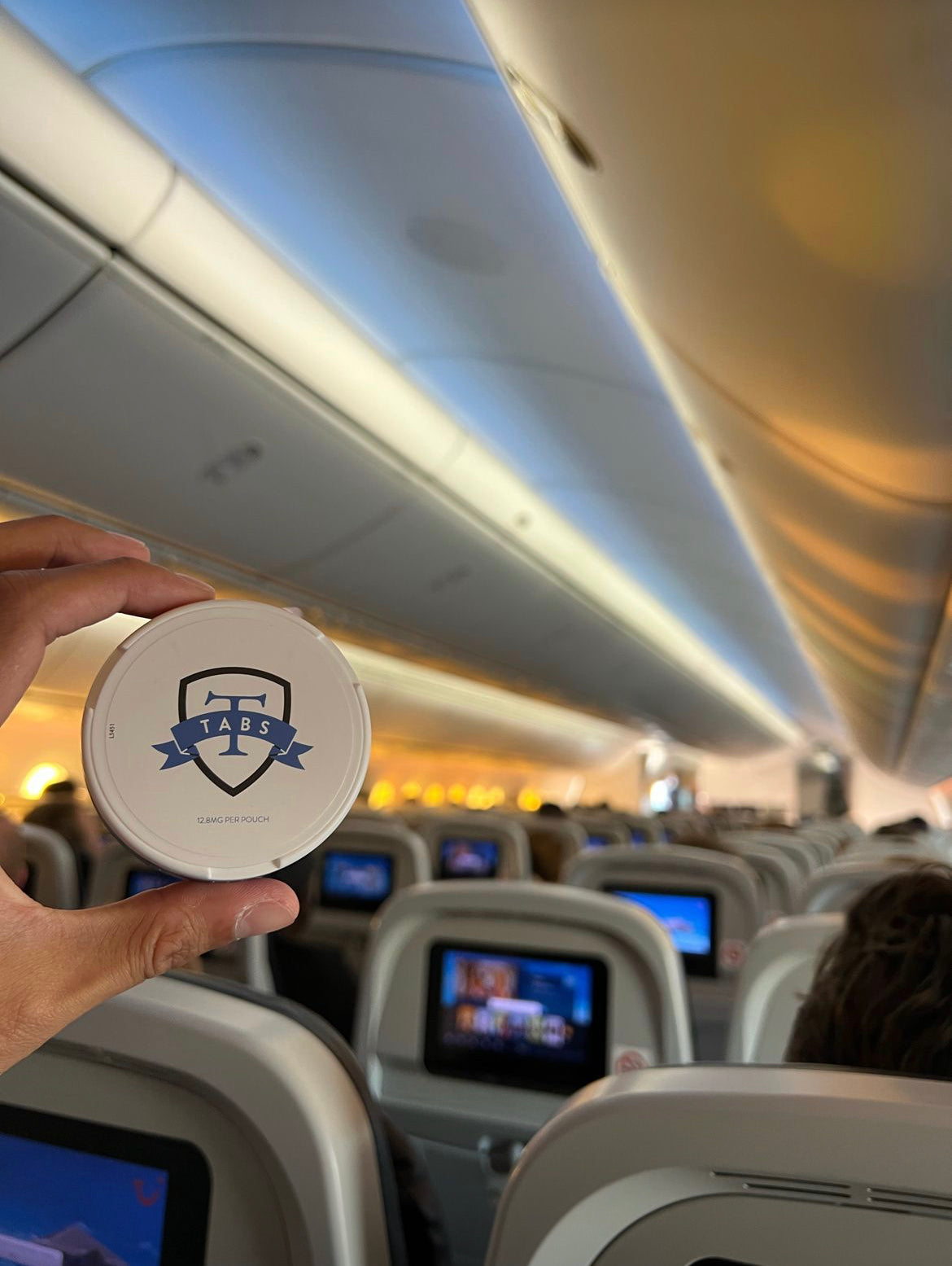 Nicotine Pouches travel friendly