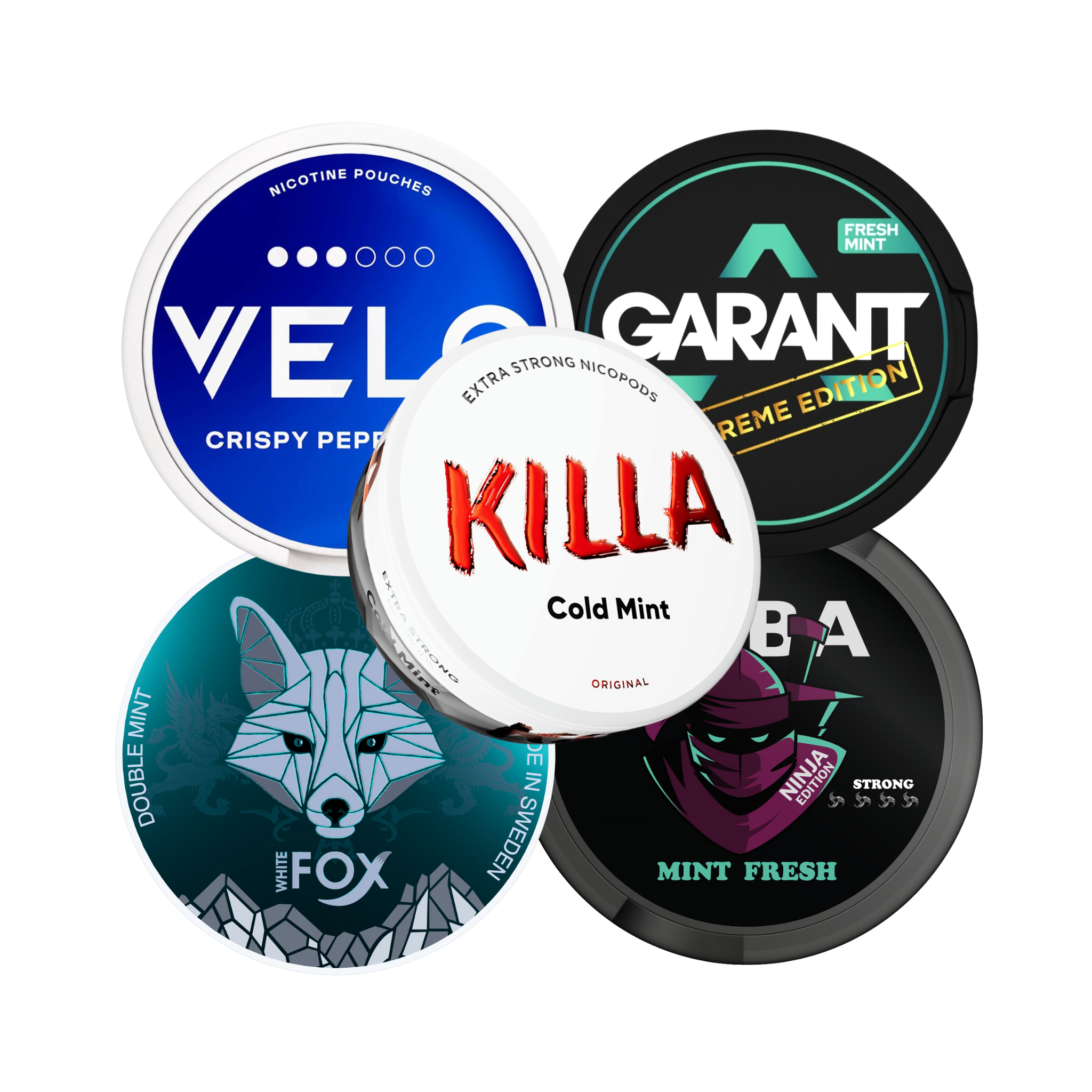 BEST SELLING MINT Bundle