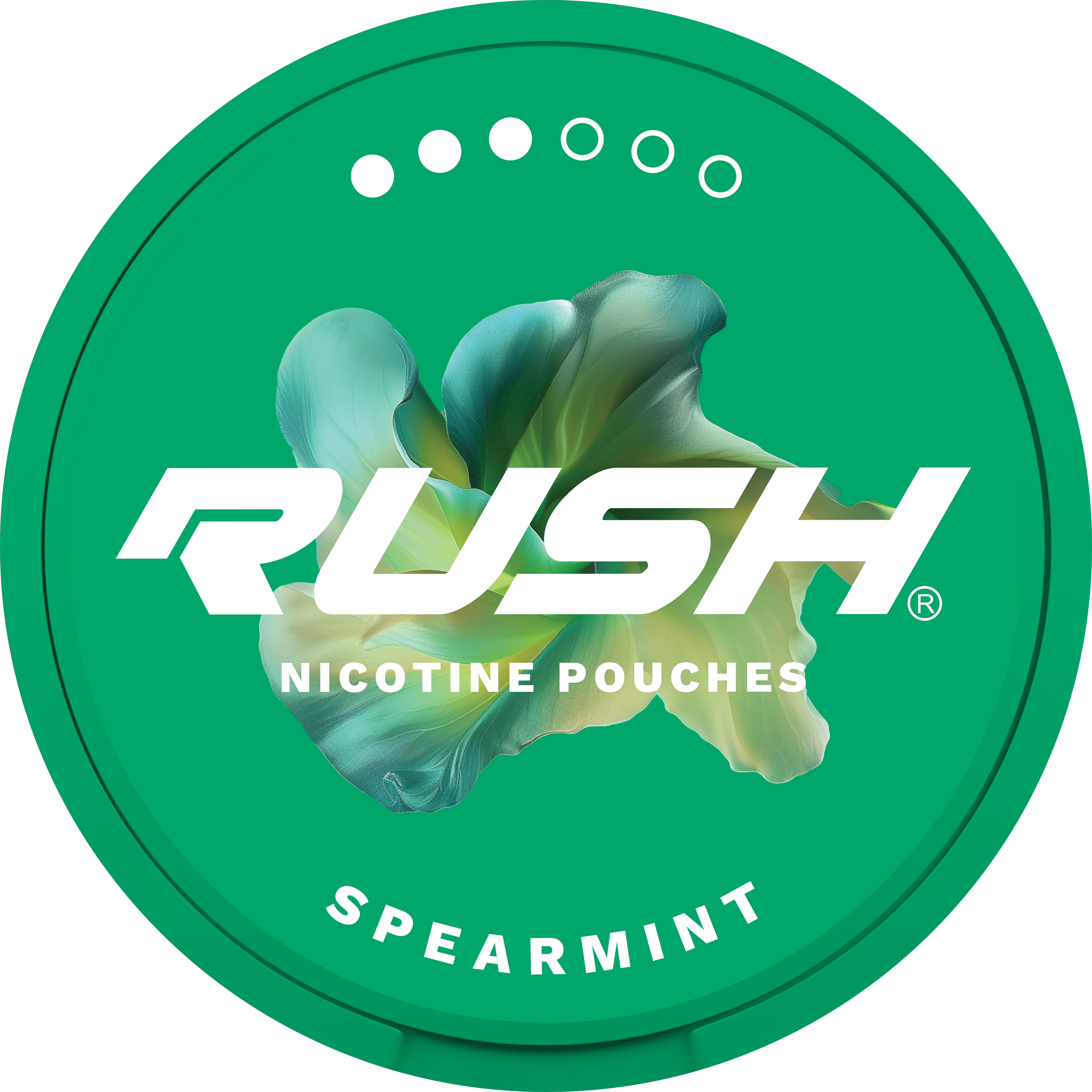 Rush Pro Spearmint Nicotine Pouches can with green leaf design and strength indicator dots.