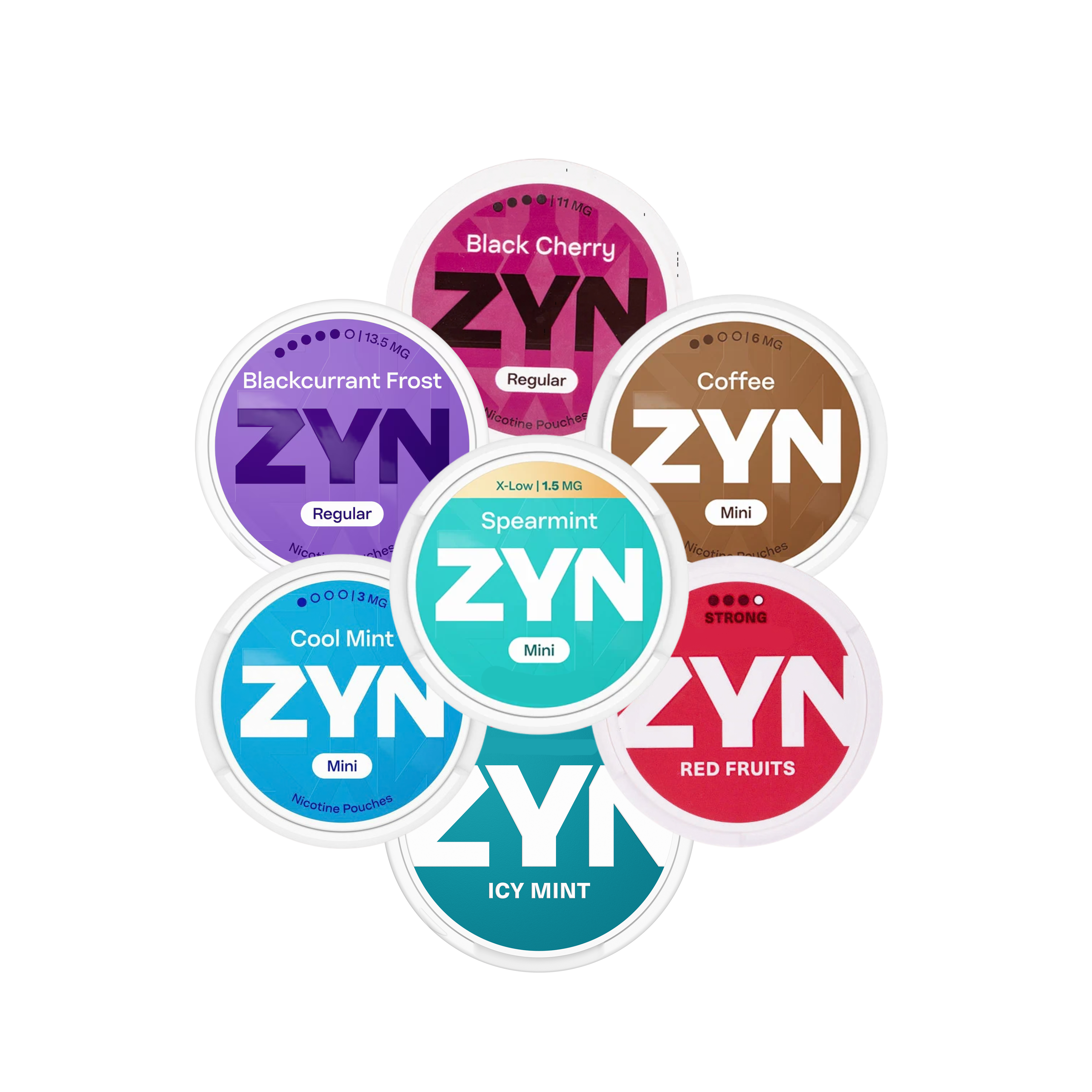 Zyn Nicoine Pouches Bundle