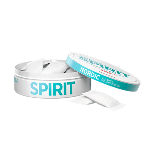 NORDIC SPIRIT Spearmint Strong - pouchline