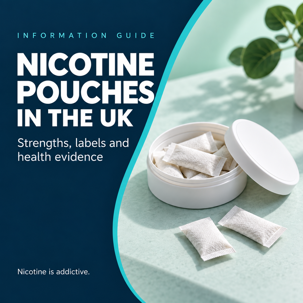 Nicotine Pouches UK