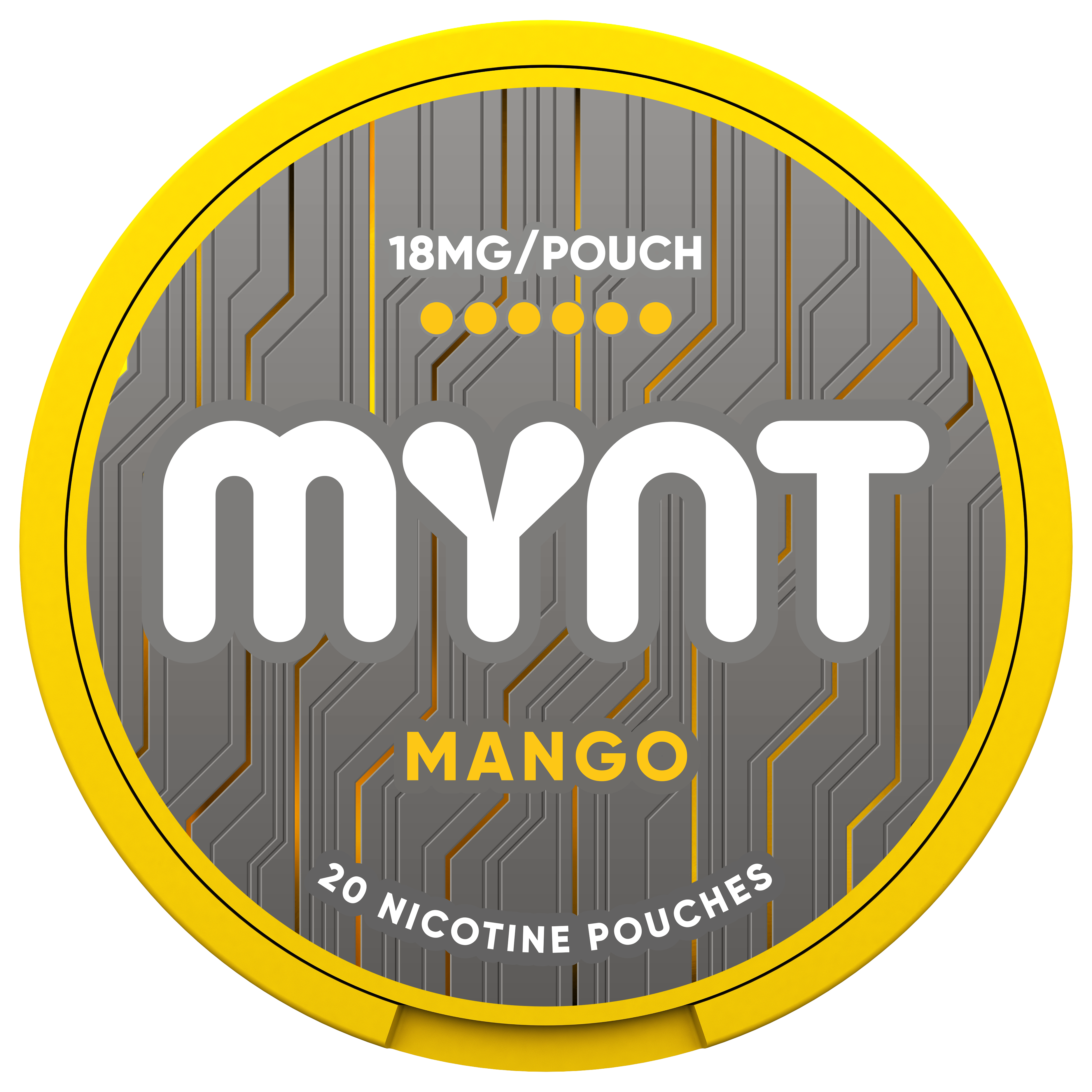MYNT Mango Pouches – 18MG