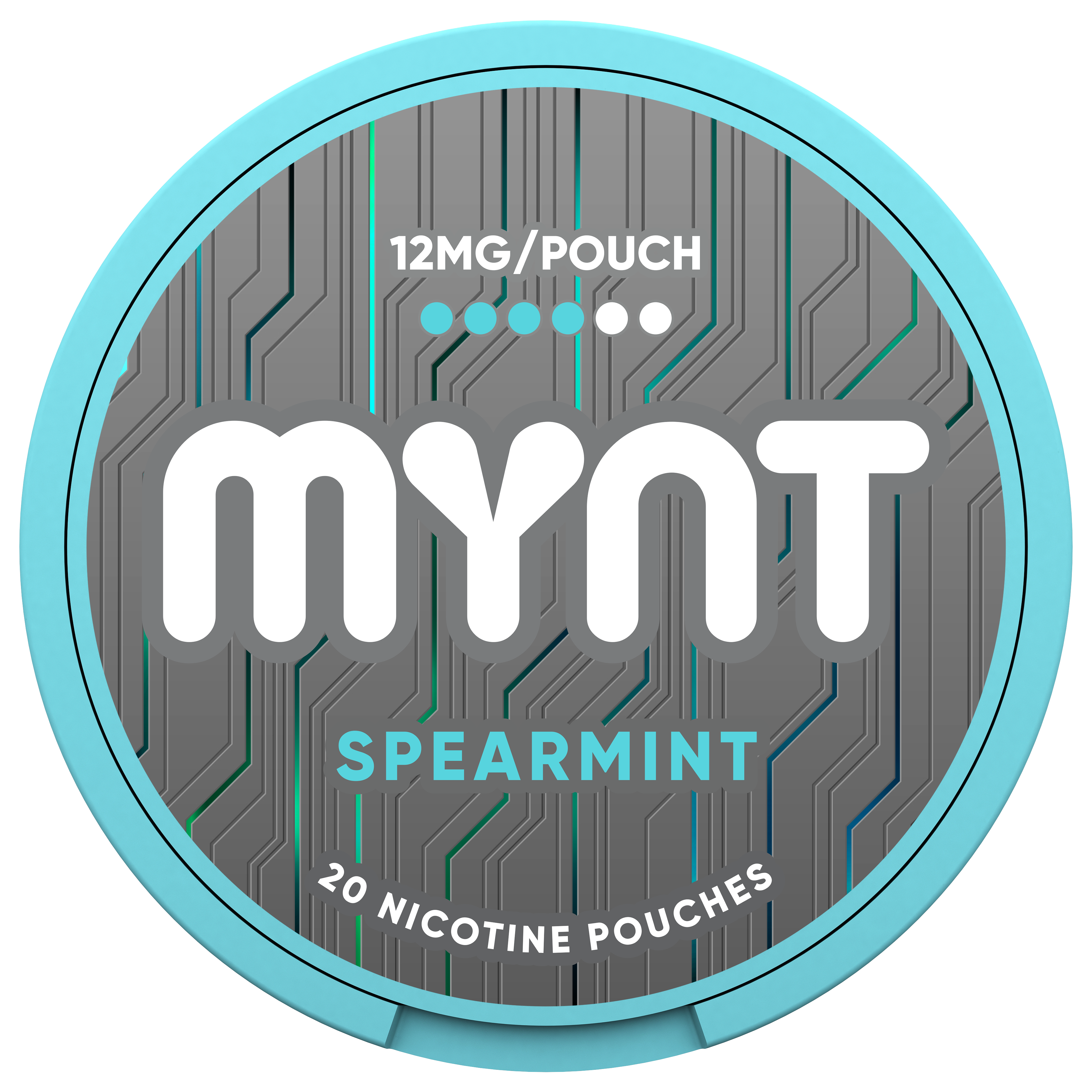 MYNT Spearmint Pouches – 12MG