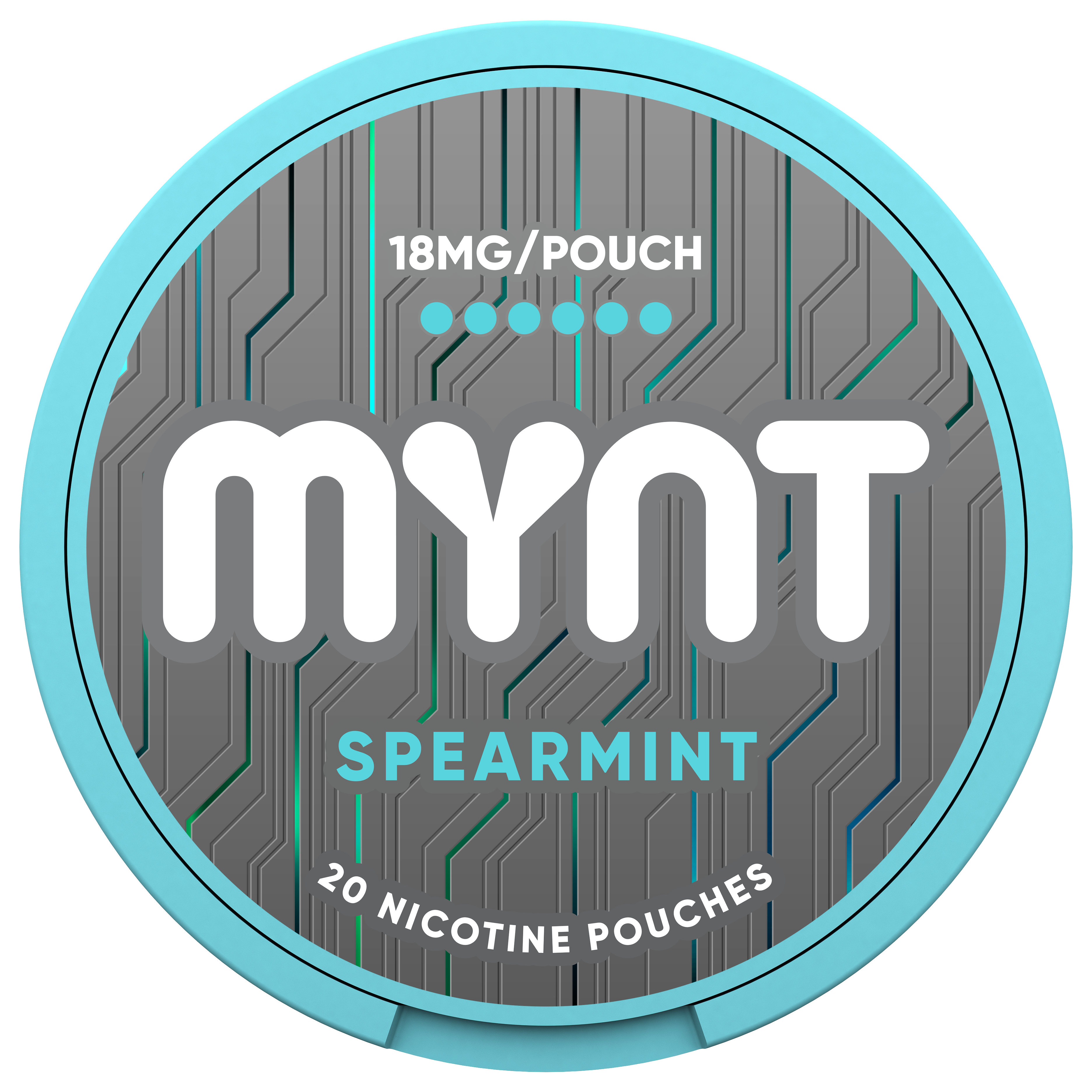MYNT Spearmint Pouches – 18MG
