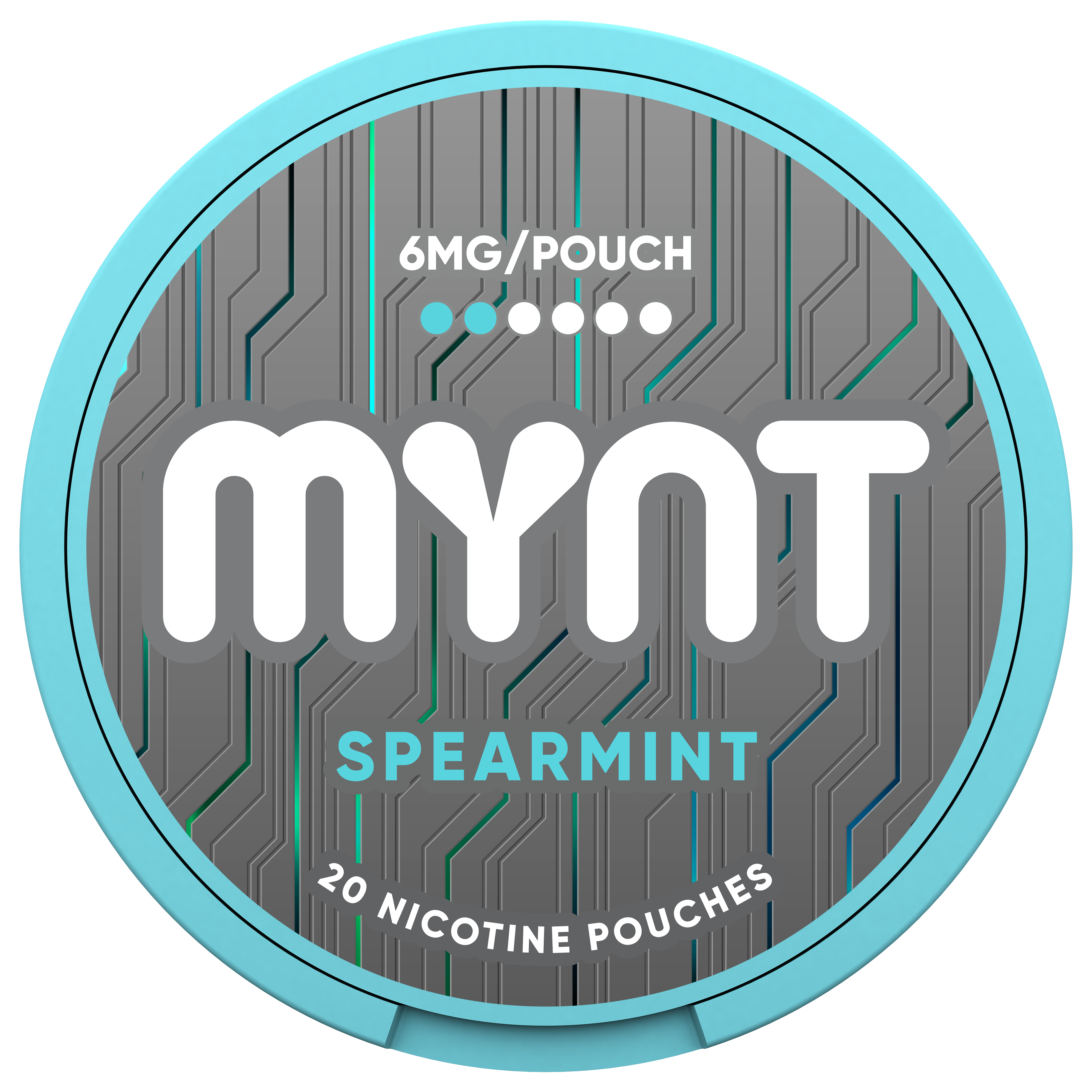 MYNT Spearmint Pouches – 6MG