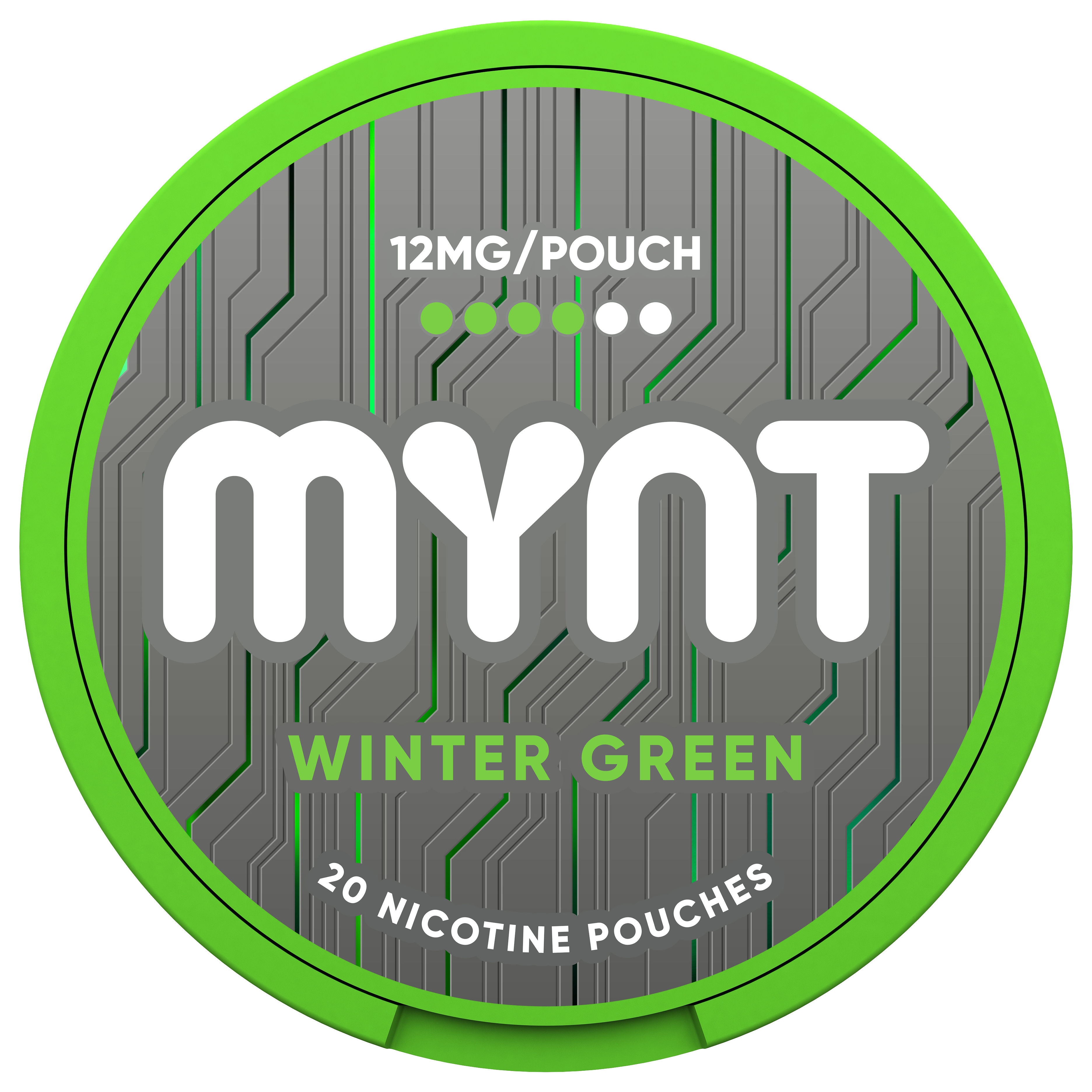 MYNT Wintergreen Pouches – 12MG