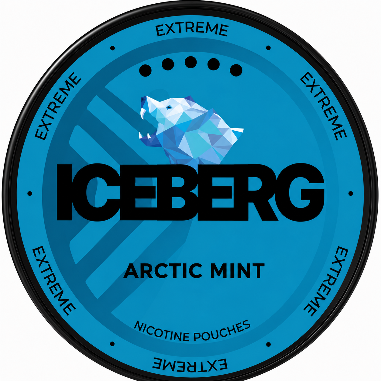 Iceberg Extreme Arctic Mint 50MG Nicotine Pouches