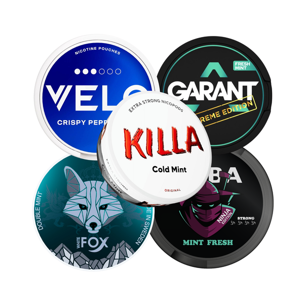 BEST SELLING MINT Bundle