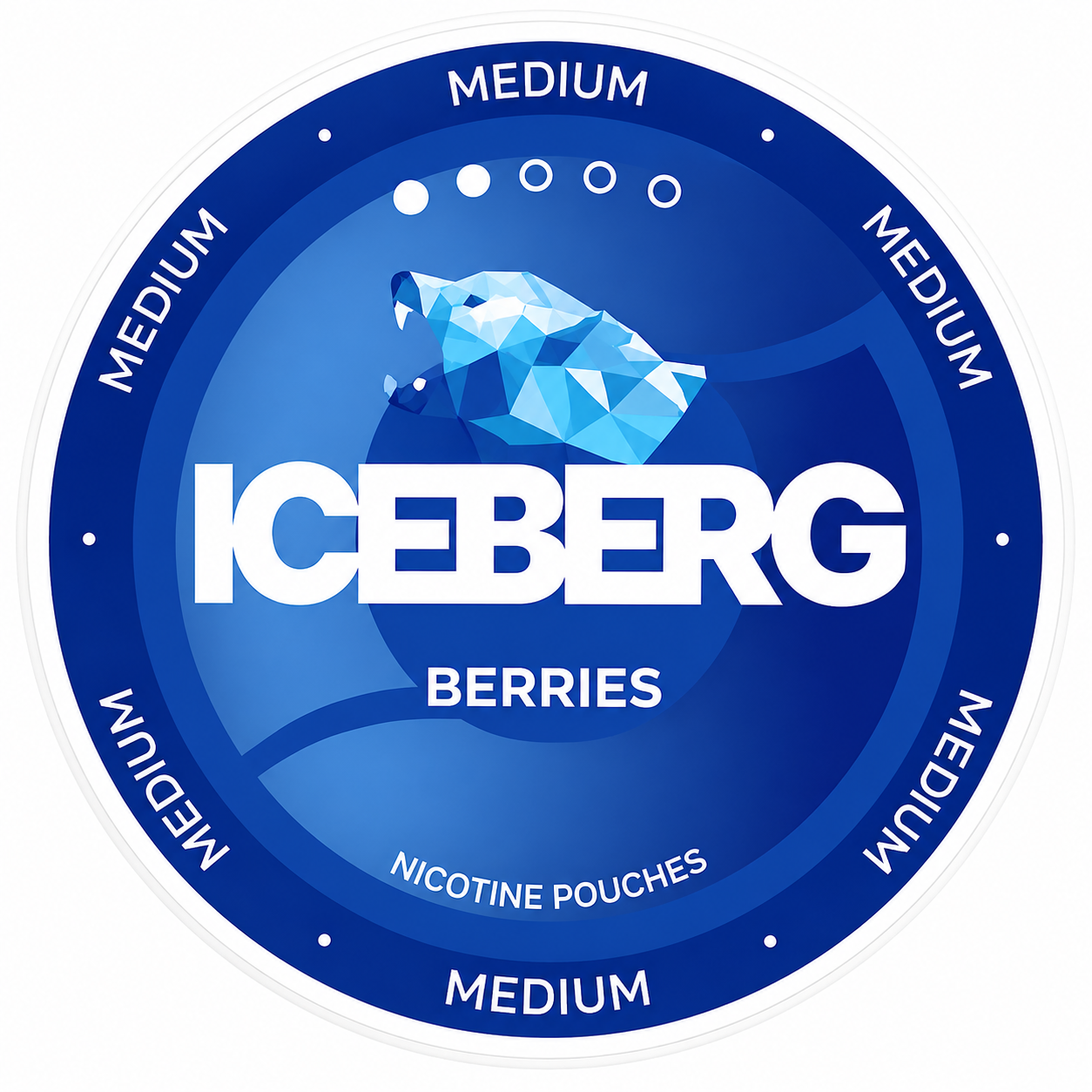 Iceberg Medium Berries 20MG Nicotine Pouches