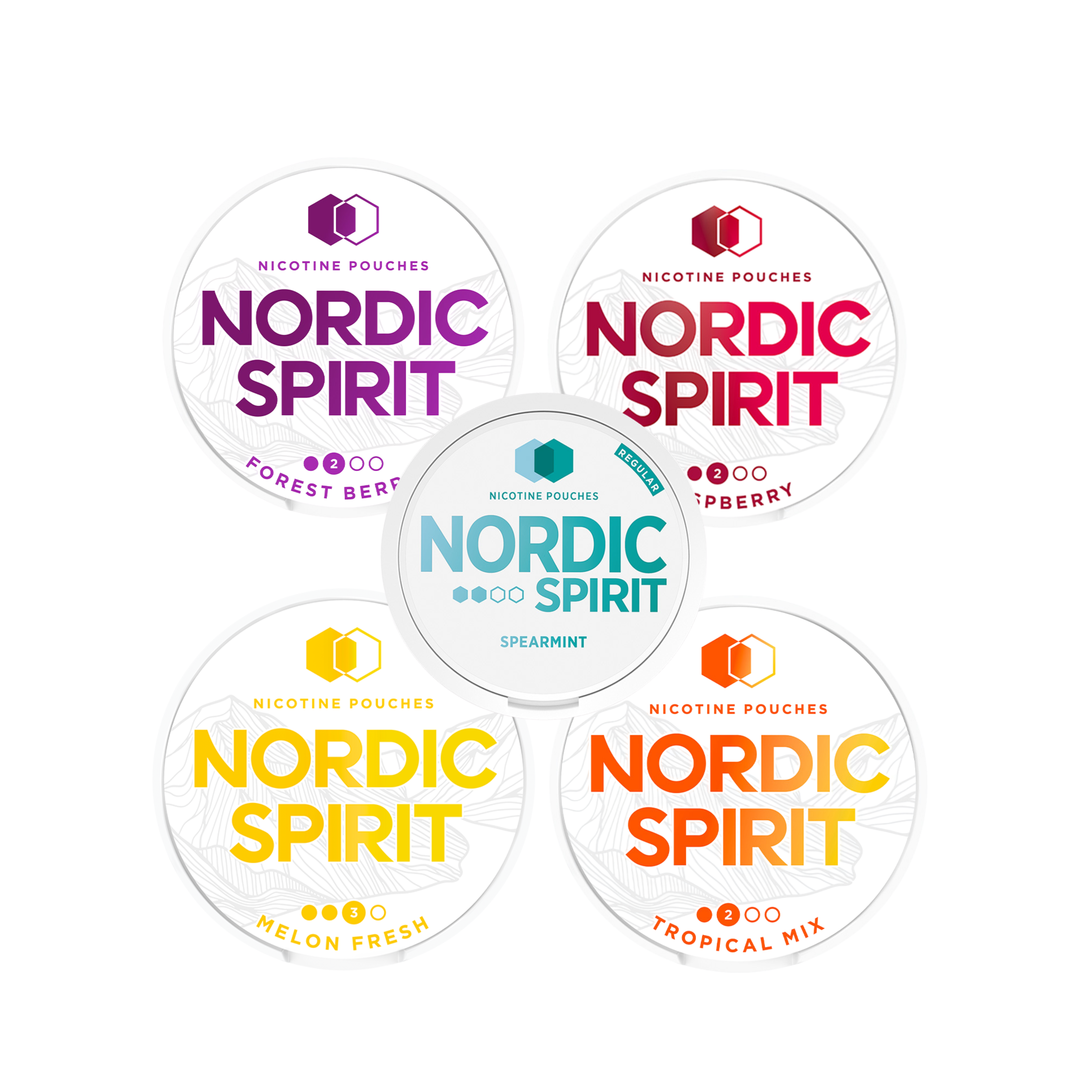 Nordic Spirit Regular Strength Nicotine Pouch Bundle