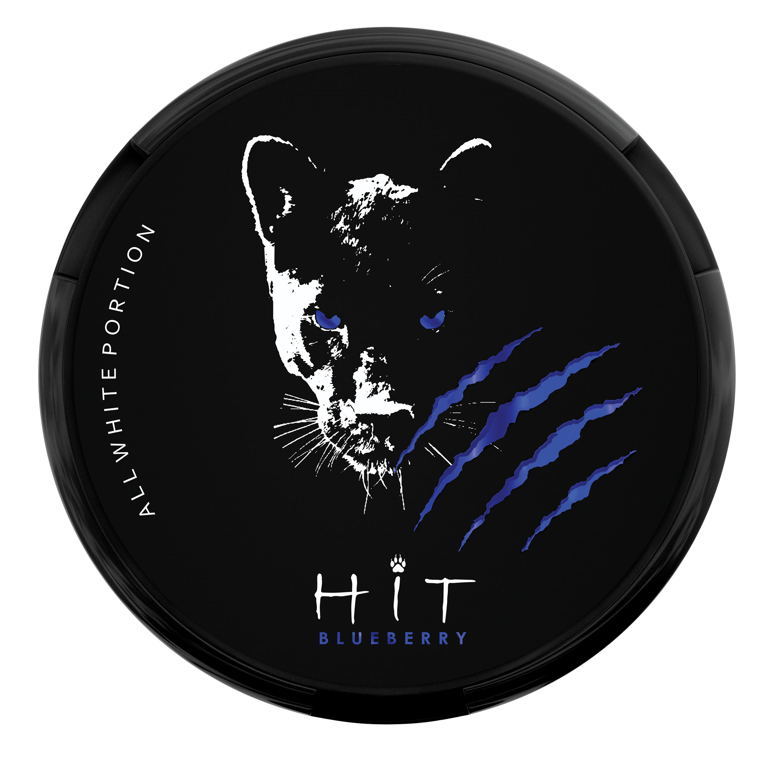 HIT Blueberry Nicotine Pouches