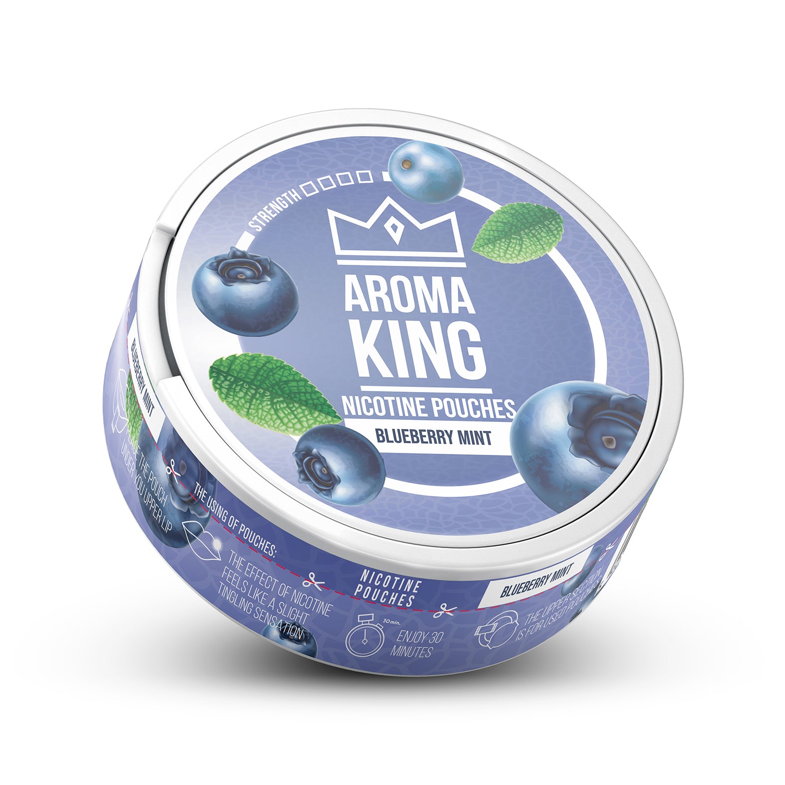 AROMA KING Blueberry Mint - pouchline